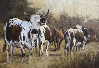 Nguni by Stan Polson 420 x 600mm