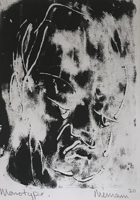 Mixed Medium