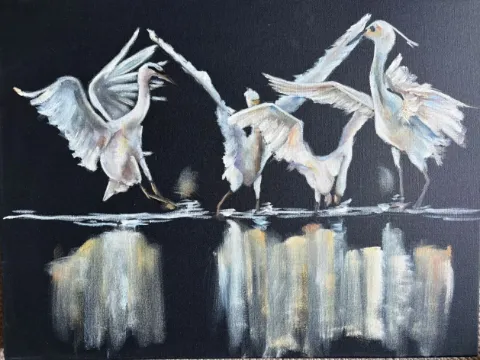 reflections cornelie wolff