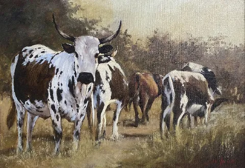 Nguni by Stan Polson 420 x 600mm