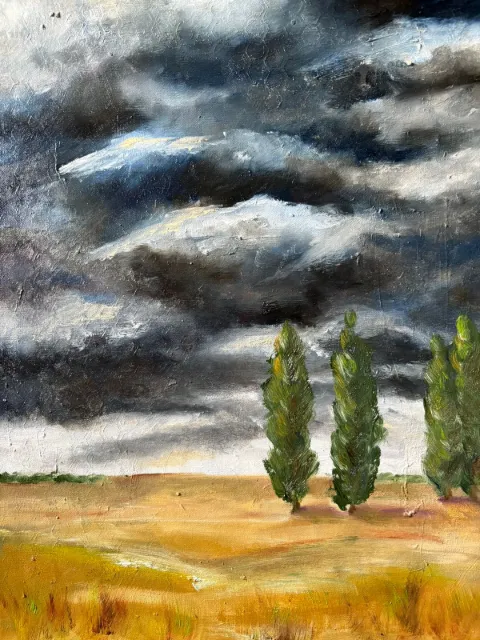 Storm, oil on canvas by Cornelie Wolff.