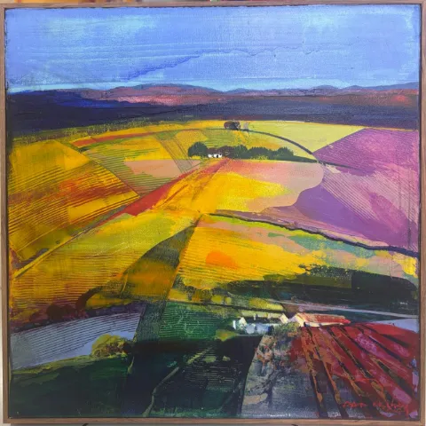 Derric van Rensburg, Overberg fields