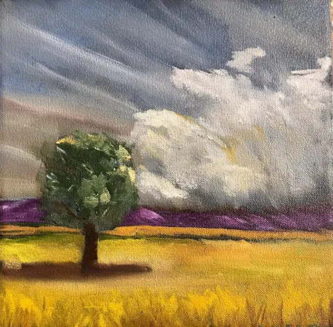 Canola Fields I - Oil on Canvas by Cornelie Wolff