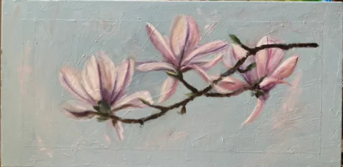 Magnolias Oil on Canvas Painting by Cornelie Wolff