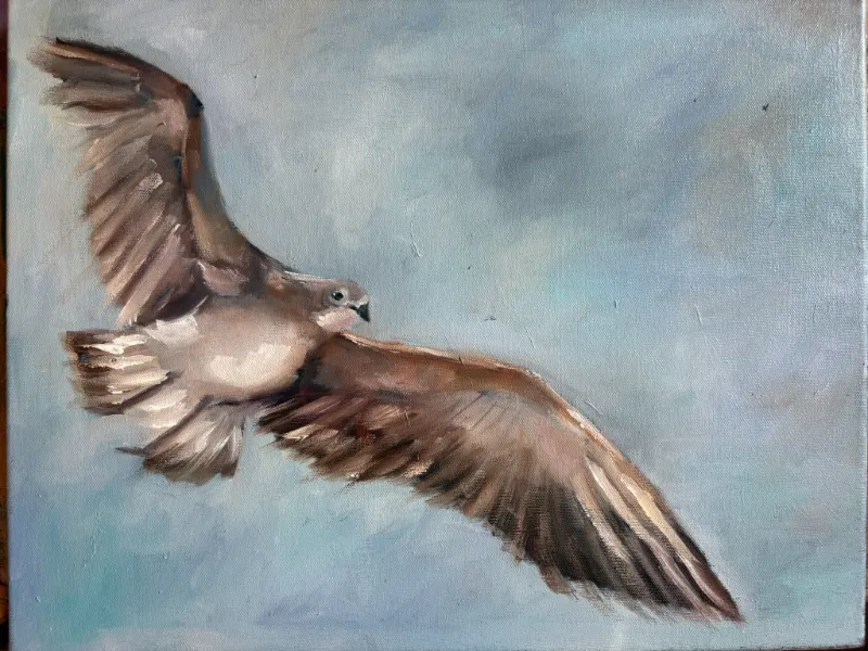 Dove in Flight - Oil on Canvas by Cornelie Wolff
