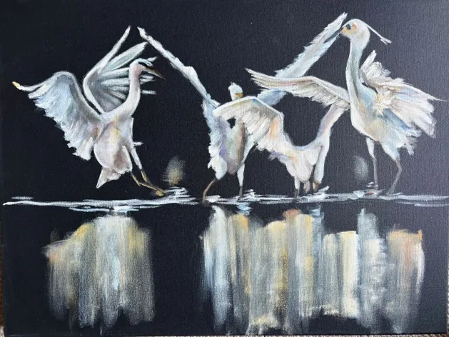 reflections cornelie wolff