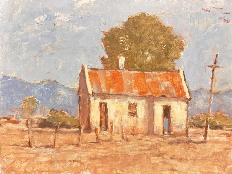 (c) House by Duggie du Toit 400 x 300 mm by Duggie du Toit