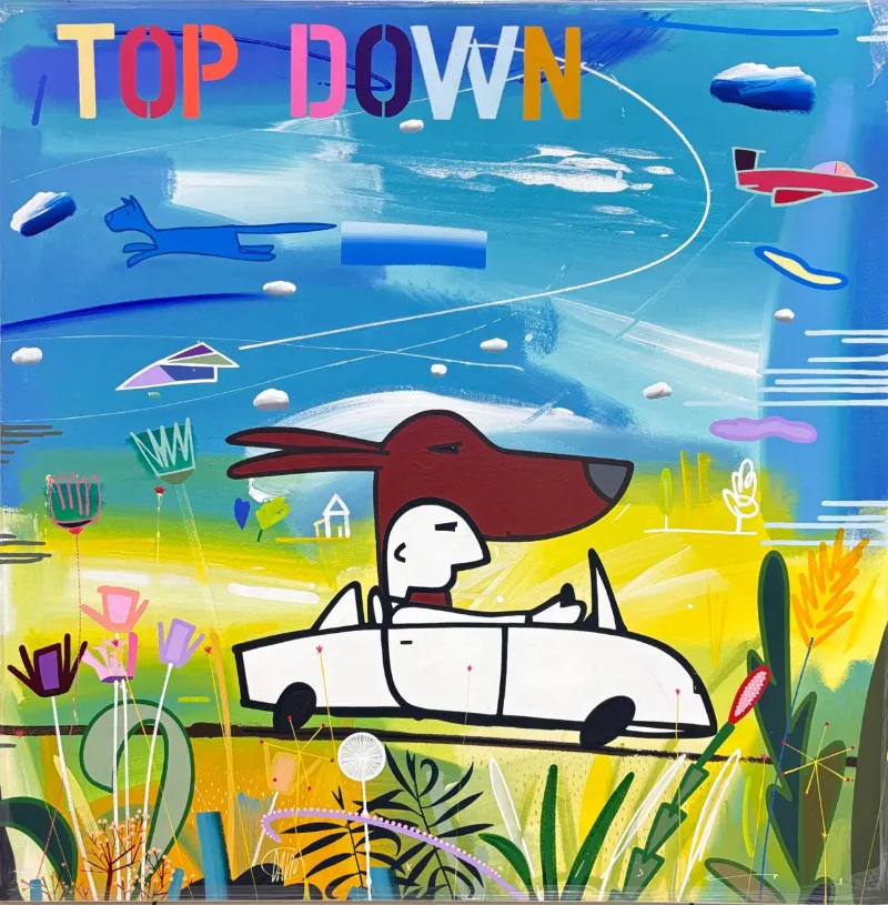 David Kuijers, Top down